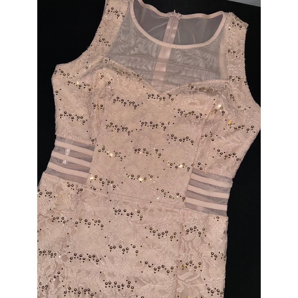 Alexa B Blush Pink Lace Sequin Illusion Mesh‎ Maxi Dress Formal Gown Size 10